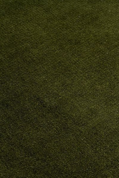 Ковер Eko Carpet Oxford Plain Moss 160*230 49215 фото