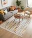 Килим Eko Carpet Arya AR 34 Multy 160*230 AR 34 Multy фото 1
