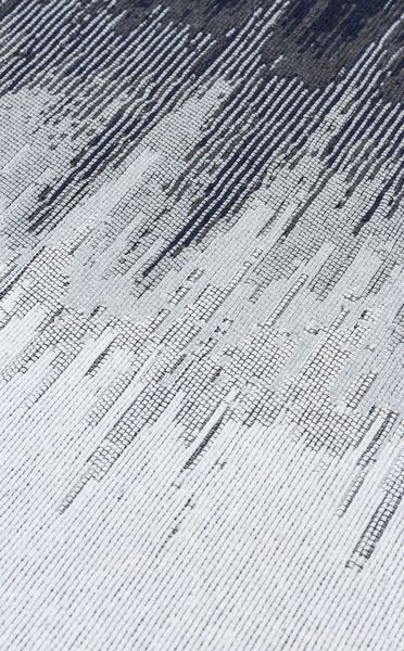 Килим Eko Carpet Arya AR 40 Black White 80*150 81355 фото