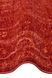 Килим Eko Carpet Shiraz SHR 03 Red 170*240 SHR 03 Red фото 7