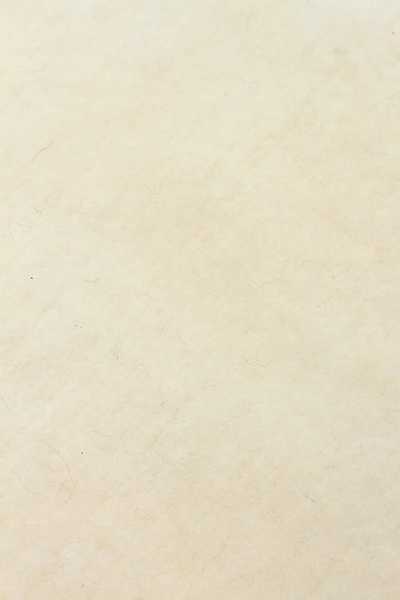 Ковер Eko Carpet Lupin Ivory 200*300 14741 фото