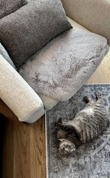 Килим Eko Carpet Mollis Single Grey шкурка 75*100 56063 фото