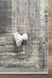 Килим Eko Carpet Soho 3706 Papirus 80*150 3706 papirus фото 3