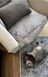 Килим Eko Carpet Mollis Quatro Grey шкурка 150*200 56065 фото 2
