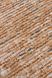 Килим Eko Carpet Sahara SHA 04 Cream Terra 160*230 SHA 04 Cream Terra фото 3